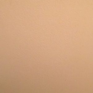 Meet your Posher, Ty